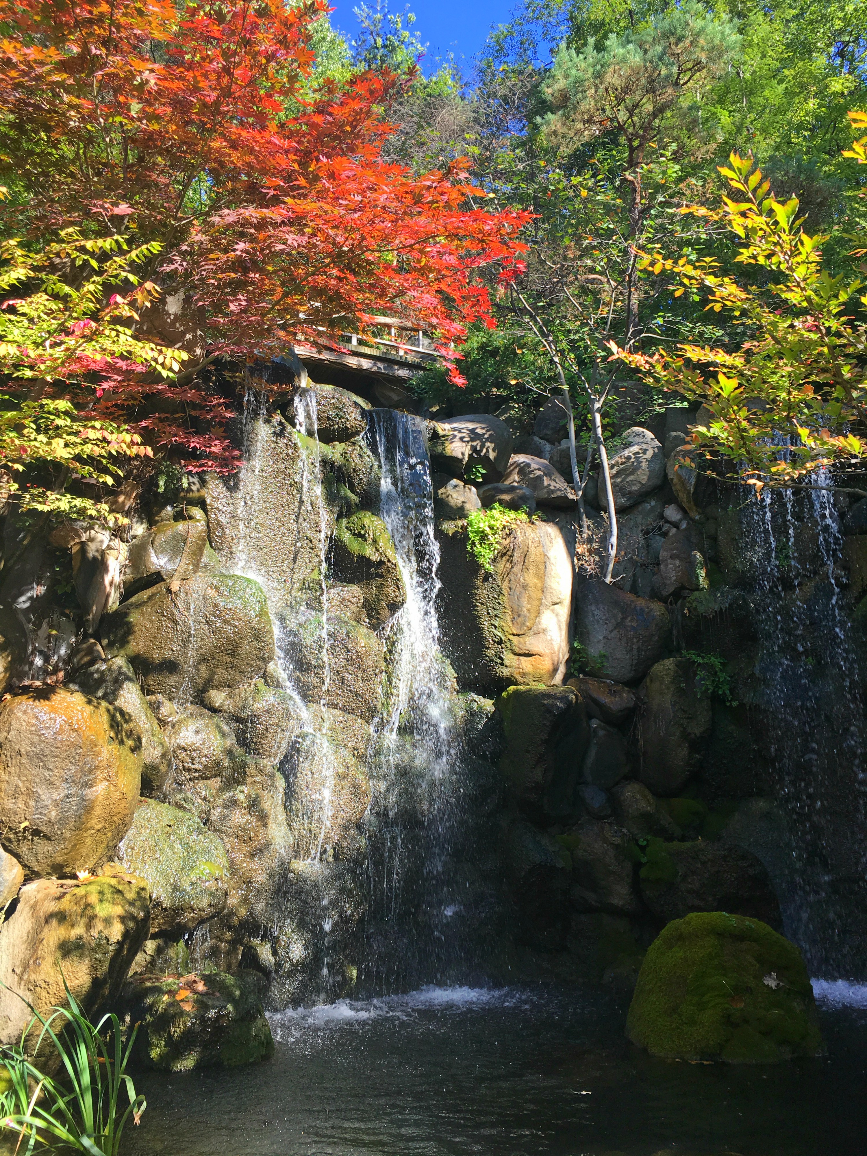 A Weekend in Rockford, IL | RebeccaWanderlusting