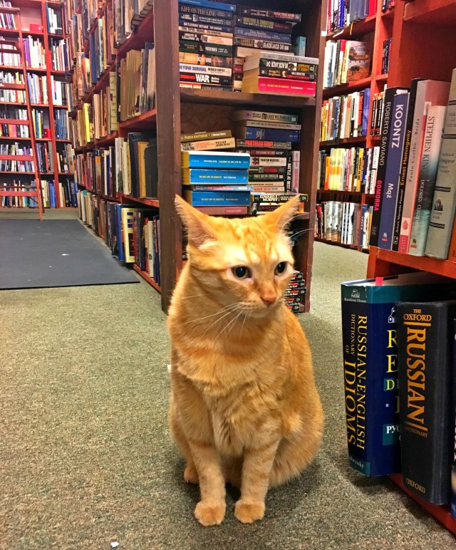 Downtown Books, Milwaukee, WI, RebeccaWanderlusting