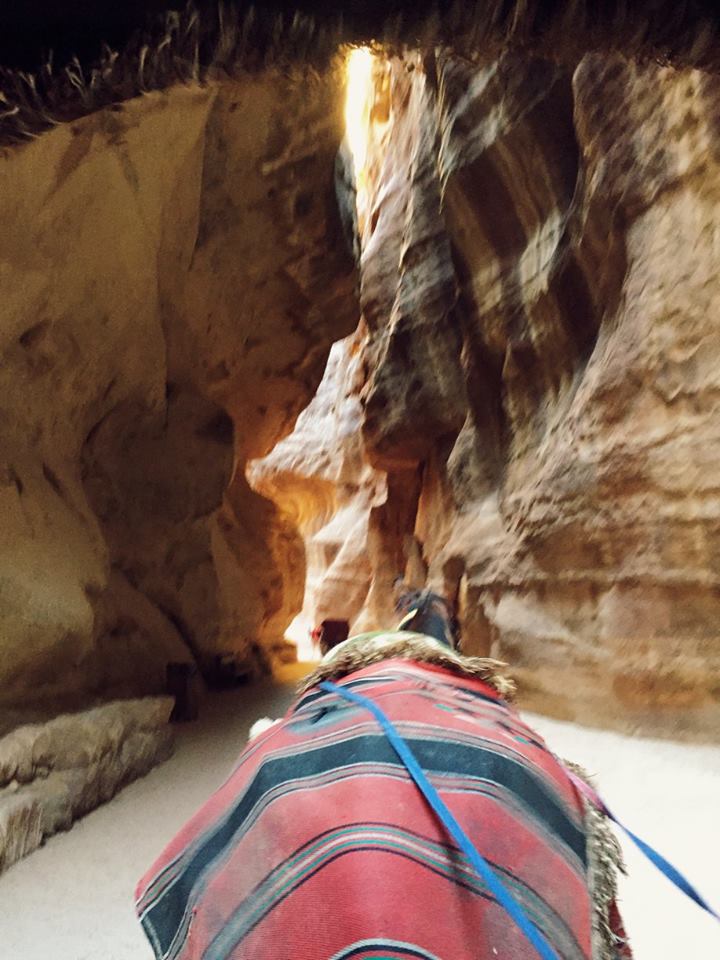 Day Trips from Jordan by Gracie Barrie, RebeccaWanderlusting