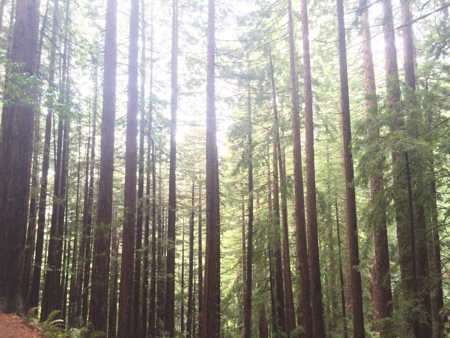 Life Happens, Change of Plans, RebeccaWanderlusting