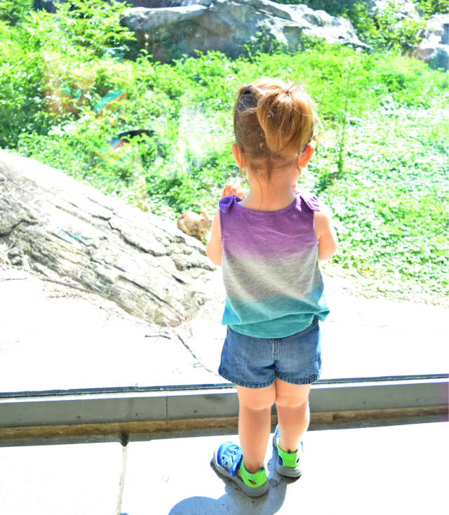 Lincoln Park Zoo, Chicago, RebeccaWanderlusting