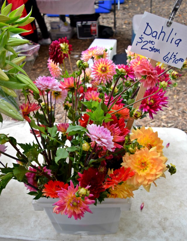 Logan Square Farmers Market, Chicago | RebeccaWanderlusting
