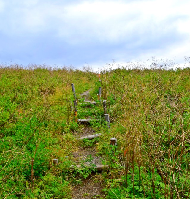 Hiking Mount Esja, Iceland, RebeccaWanderlusting