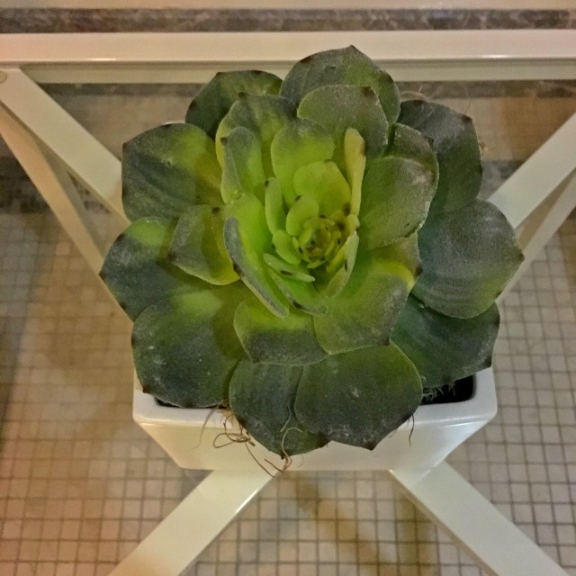 Four Seasons Spa, Chicago, Spa Day, RebeccaWanderlusting