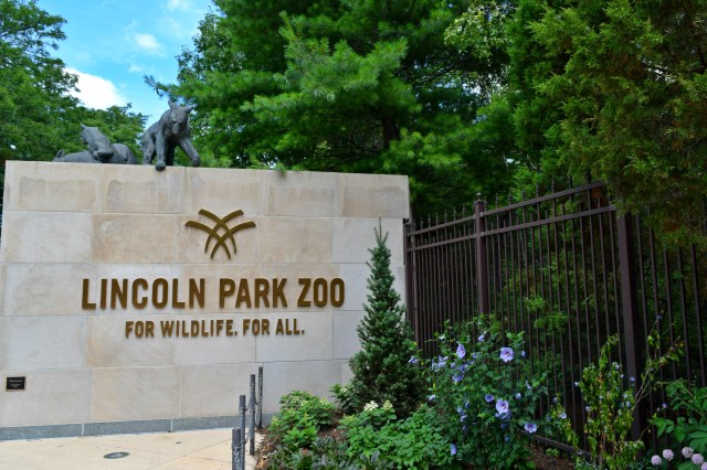 Lincoln Park Zoo, Chicago, RebeccaWanderlusting