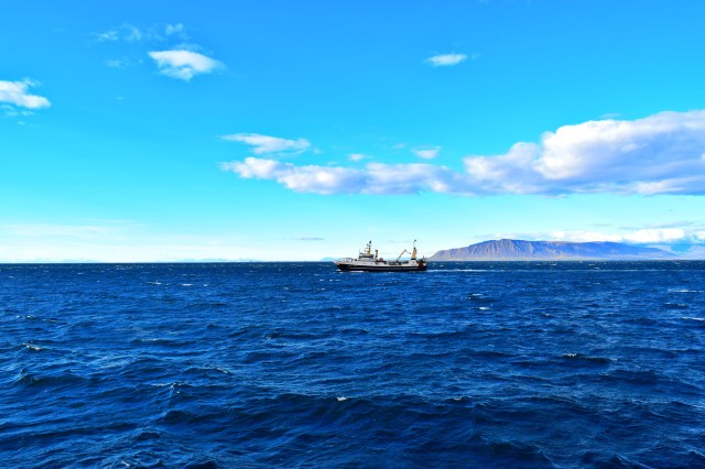 Elding Whale Watching Tour, Reykjavik, RebeccaWanderlusting