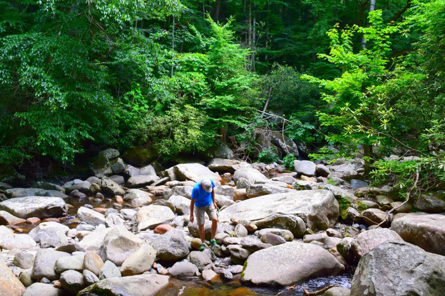 Happy Father's Day, Interview with Dad, RebeccaWanderlusting