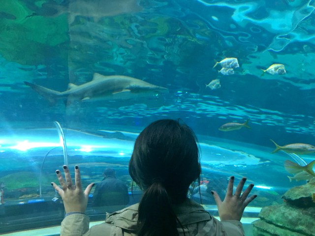 Tourists in Toronto | RebeccaWanderlusting