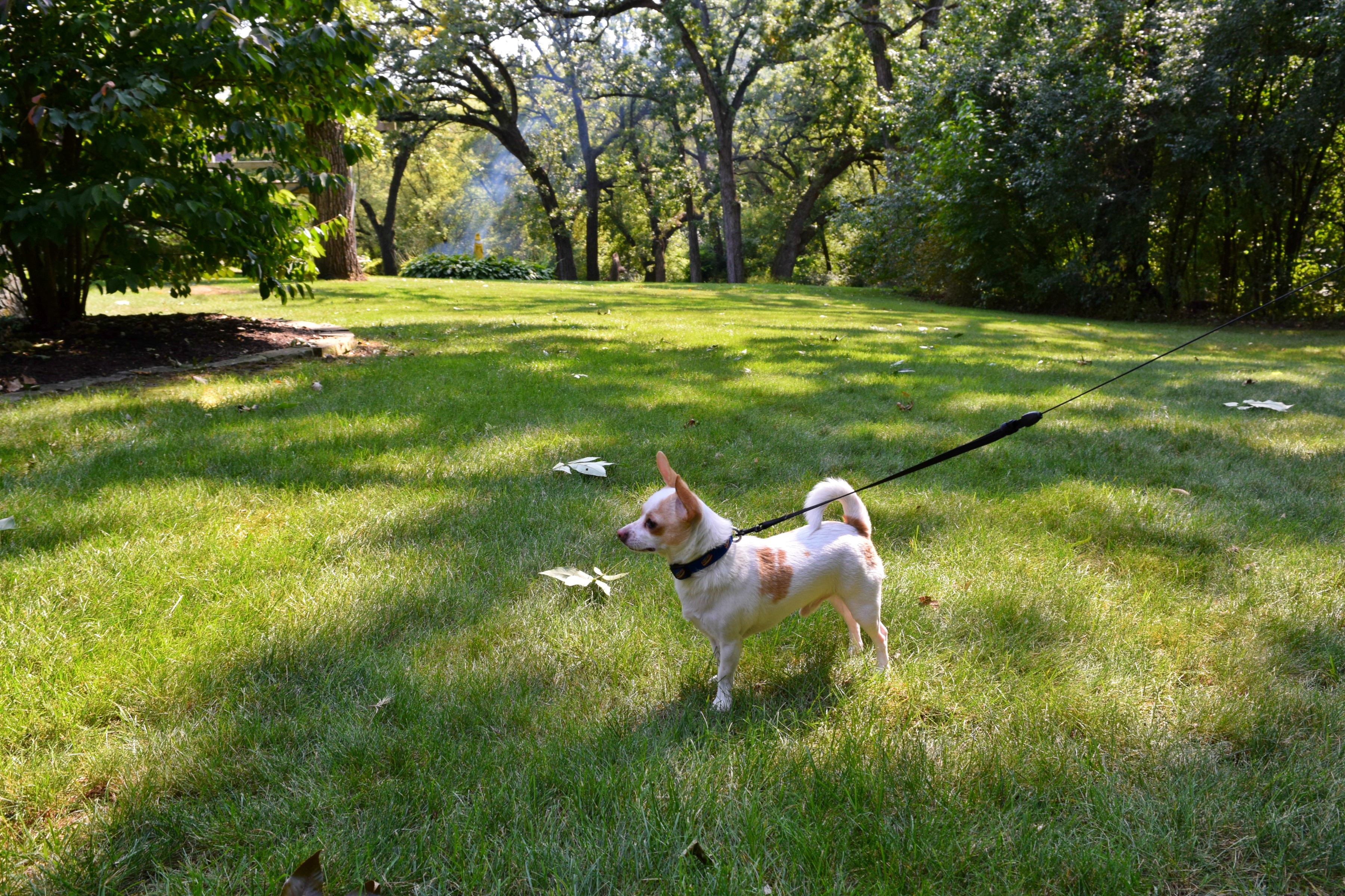 Ode to My Hometown: Johnsburg, IL | RebeccaWanderlusting