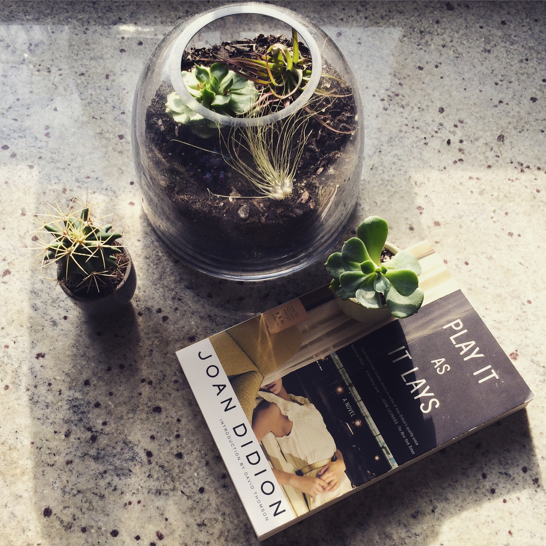 8 Books to Read This Summer