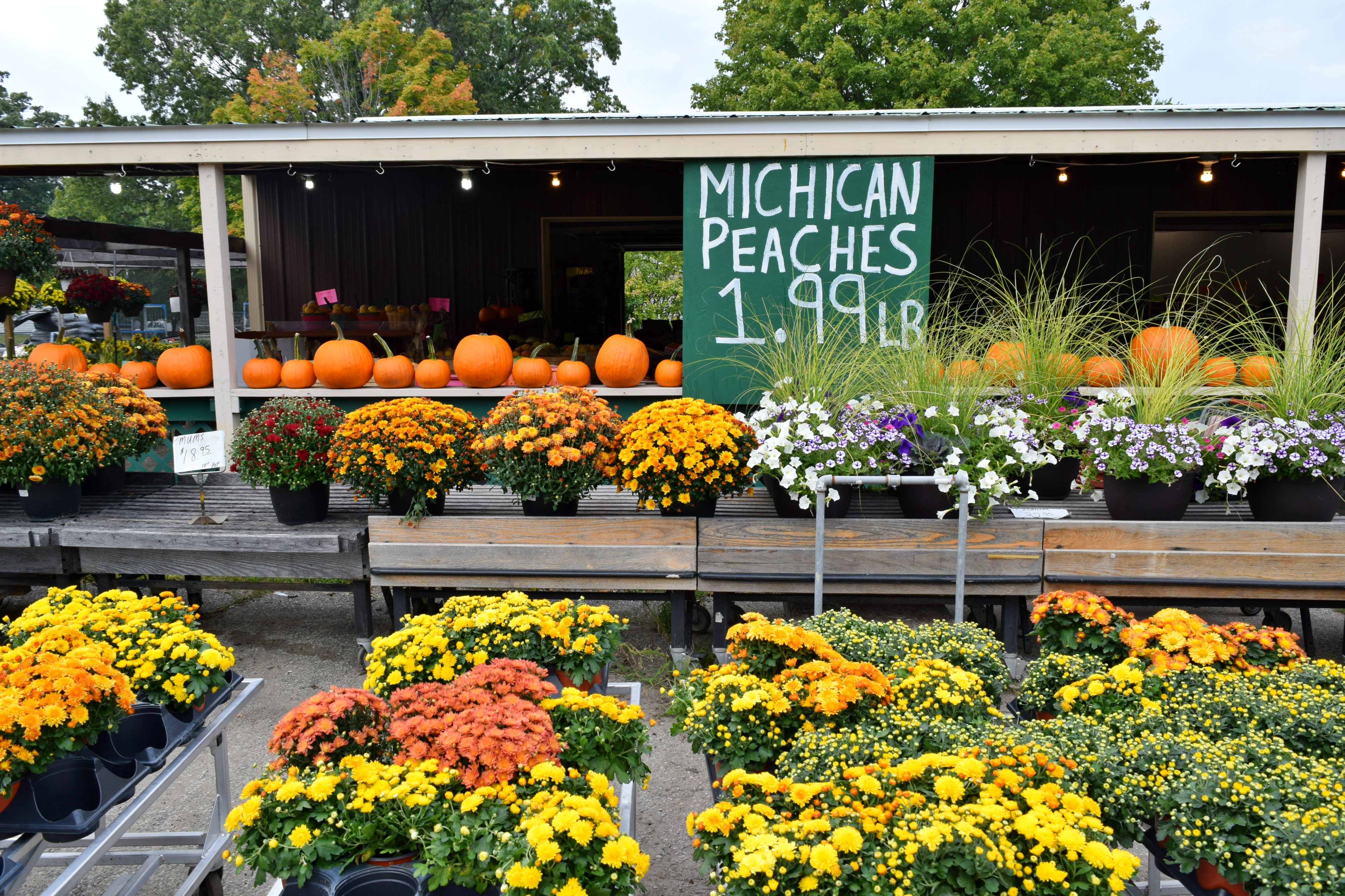 Fall in Chicago, Bucket List | RebeccaWanderlusting