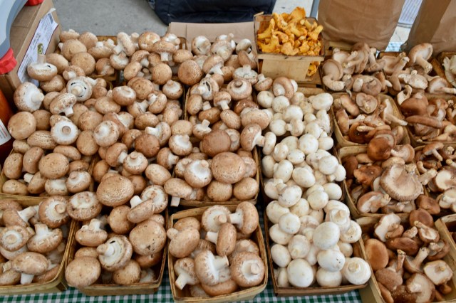 Logan Square Farmers Market, Chicago | RebeccaWanderlusting