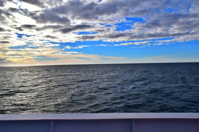 Elding Whale Watching Tour, Reykjavik, RebeccaWanderlusting