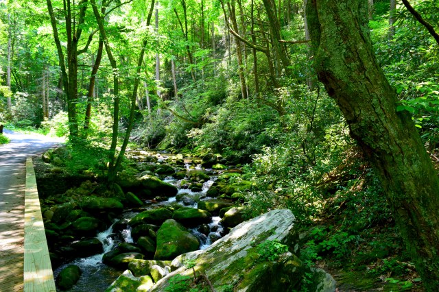 Smoky Mountains, RebeccaWanderlusting