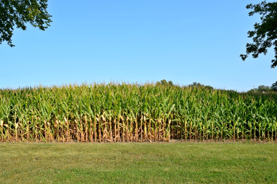 Johnsburg, IL, An Ode to My Hometown | RebeccaWanderlusting