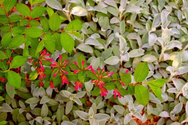 Travel Inspiration Tuesday