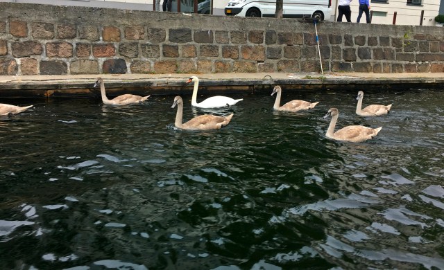 Canal Tour, Copenhagen, Denmark, RebeccaWanderlusting