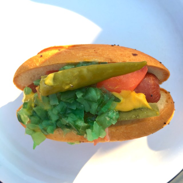 Mystic Blue Cruise, Chicago, RebeccaWanderlusting