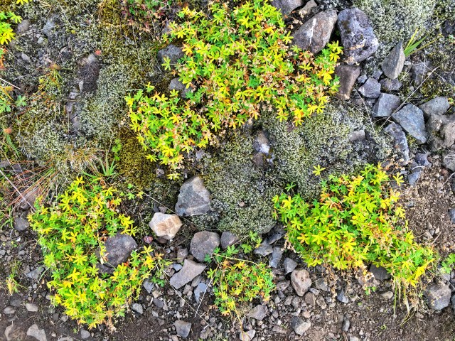 Hiking Mount Esja, Iceland, RebeccaWanderlusting