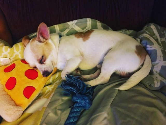 Monthly Memo: January, RebeccaWanderlusting