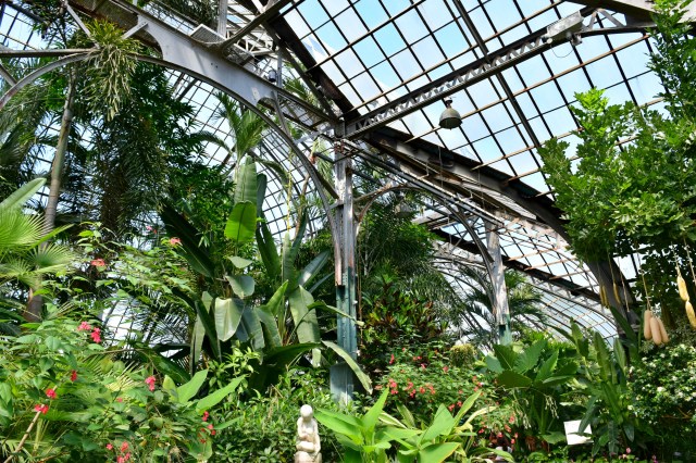 Lincoln Park Conservatory, Chicago, RebeccaWanderlusting