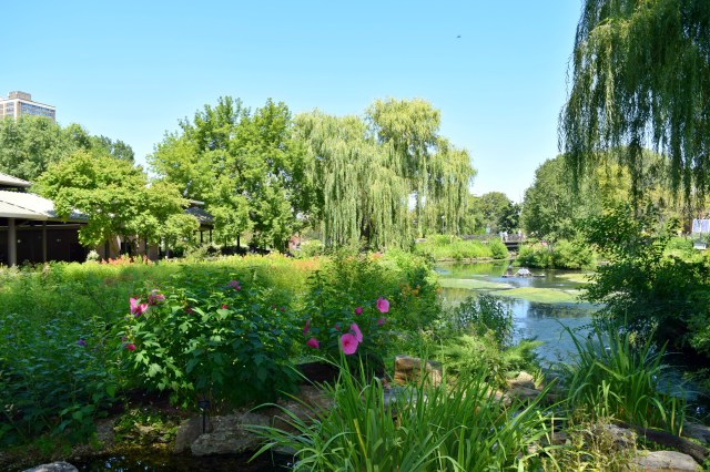 Lincoln Park Zoo, Chicago, RebeccaWanderlusting