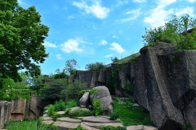 Lincoln Park Zoo, Chicago, RebeccaWanderlusting