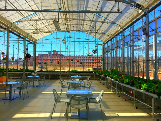 Grand Rapids Revisited, RebeccaWanderlusting