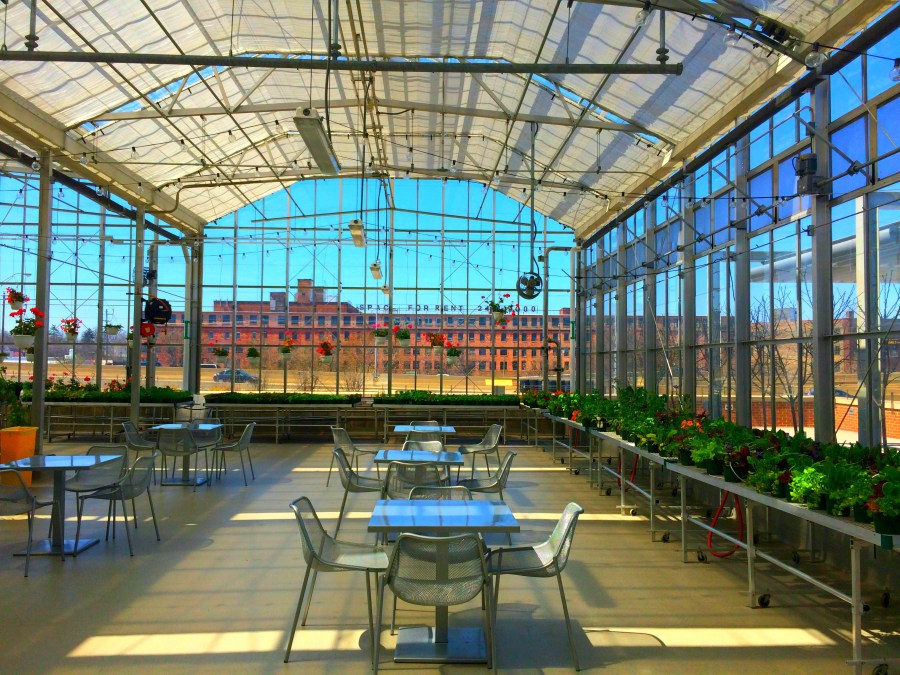 Grand Rapids Revisited, RebeccaWanderlusting