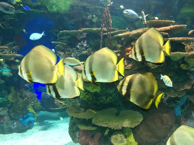 Tourists in Toronto | RebeccaWanderlusting