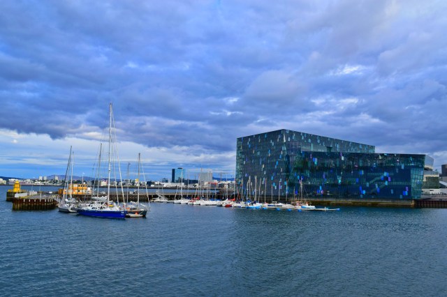 Elding Whale Watching Tour, Reykjavik, RebeccaWanderlusting