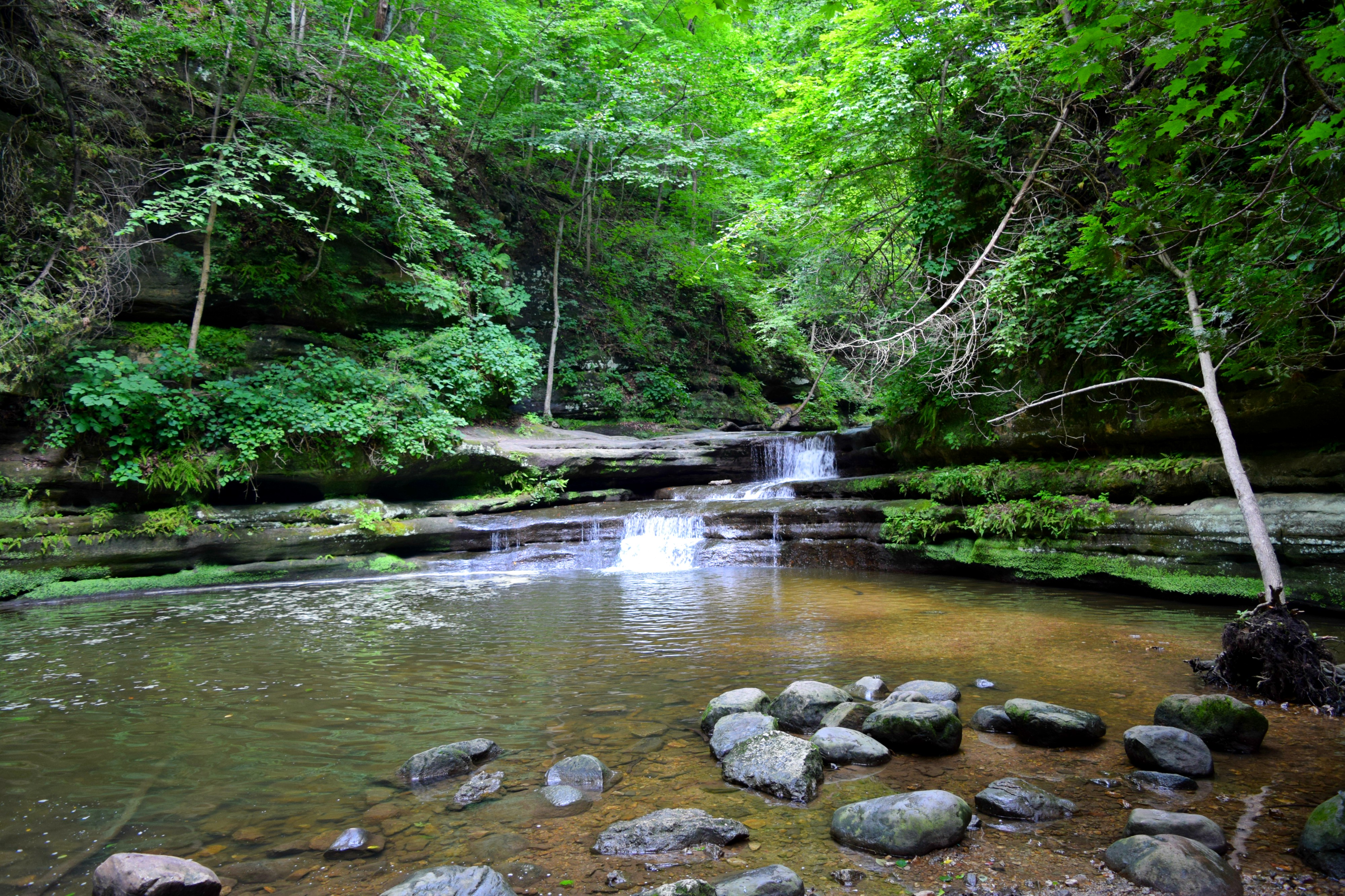 Midwest Road Trips, Matthiessen State Park, RebeccaWanderlusting