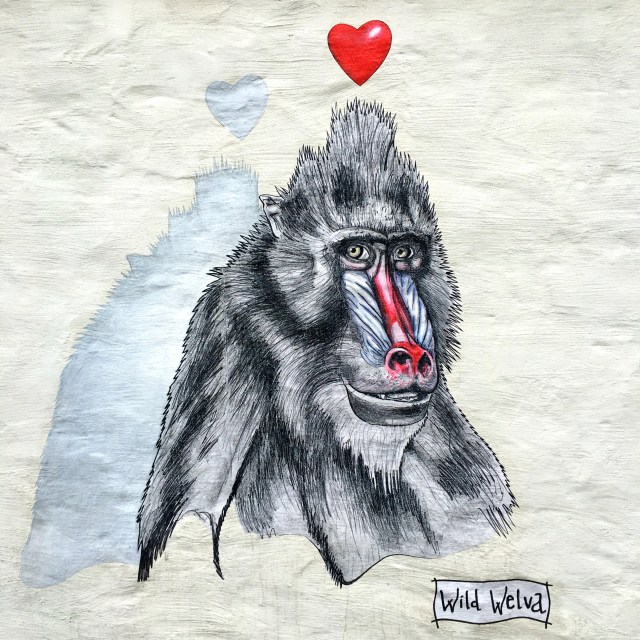 Solo Trip Snapshots, Iceland, RebeccaWanderlusting