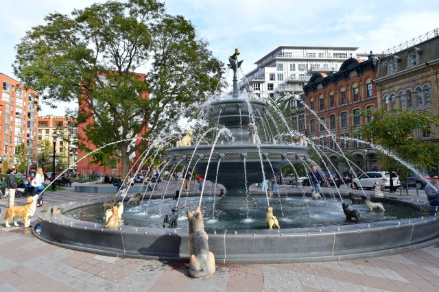 Tourists in Toronto | RebeccaWanderlusting
