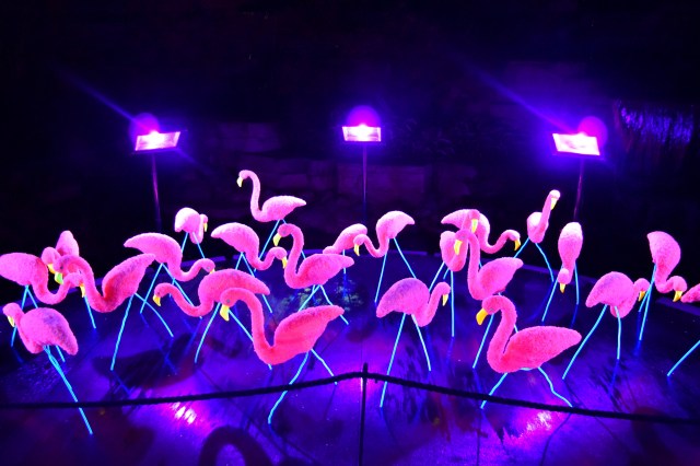 A Weekend in Rockford, IL | RebeccaWanderlusting