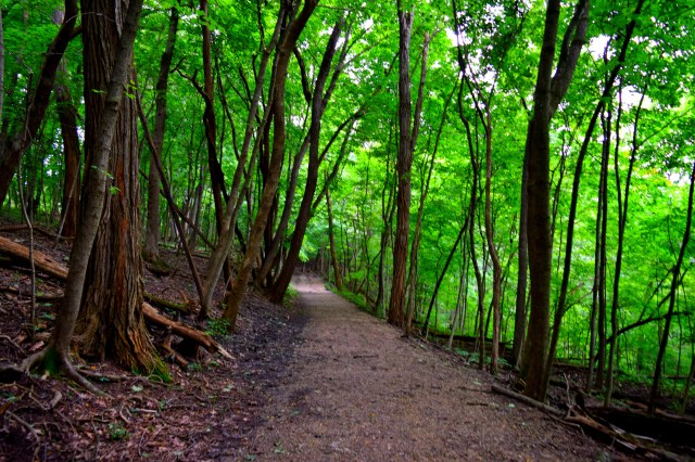Hiking Matthiessen State Park, RebeccaWanderlusting