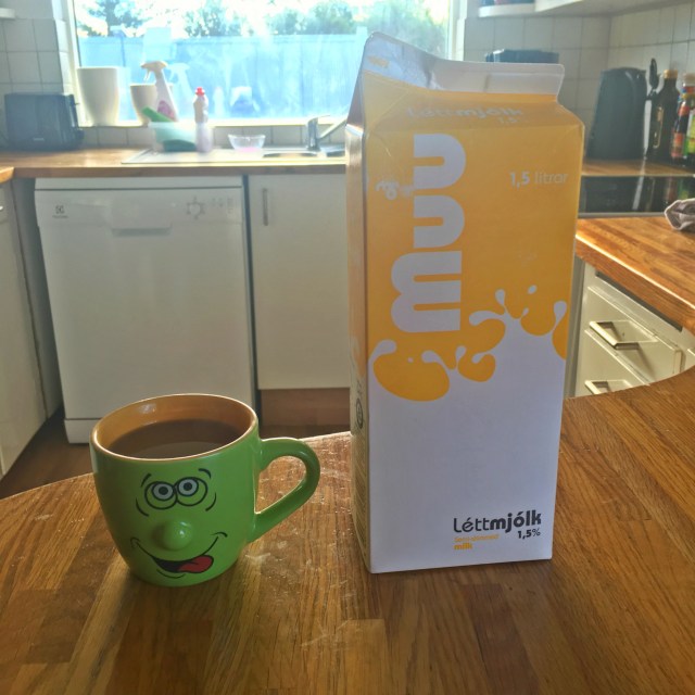 First AirBnB Experience in Iceland, RebeccaWanderlusting