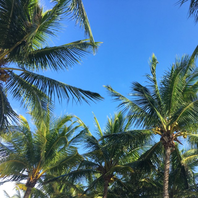 Playa Del Carmen, Mexico, RebeccaWanderlusting