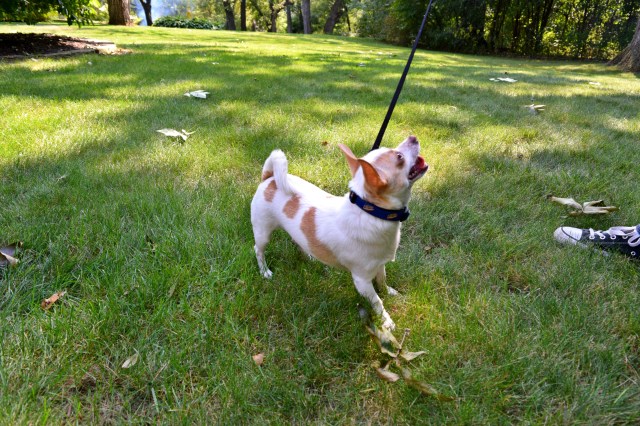 Monthly Memo: November | RebeccaWanderlusting