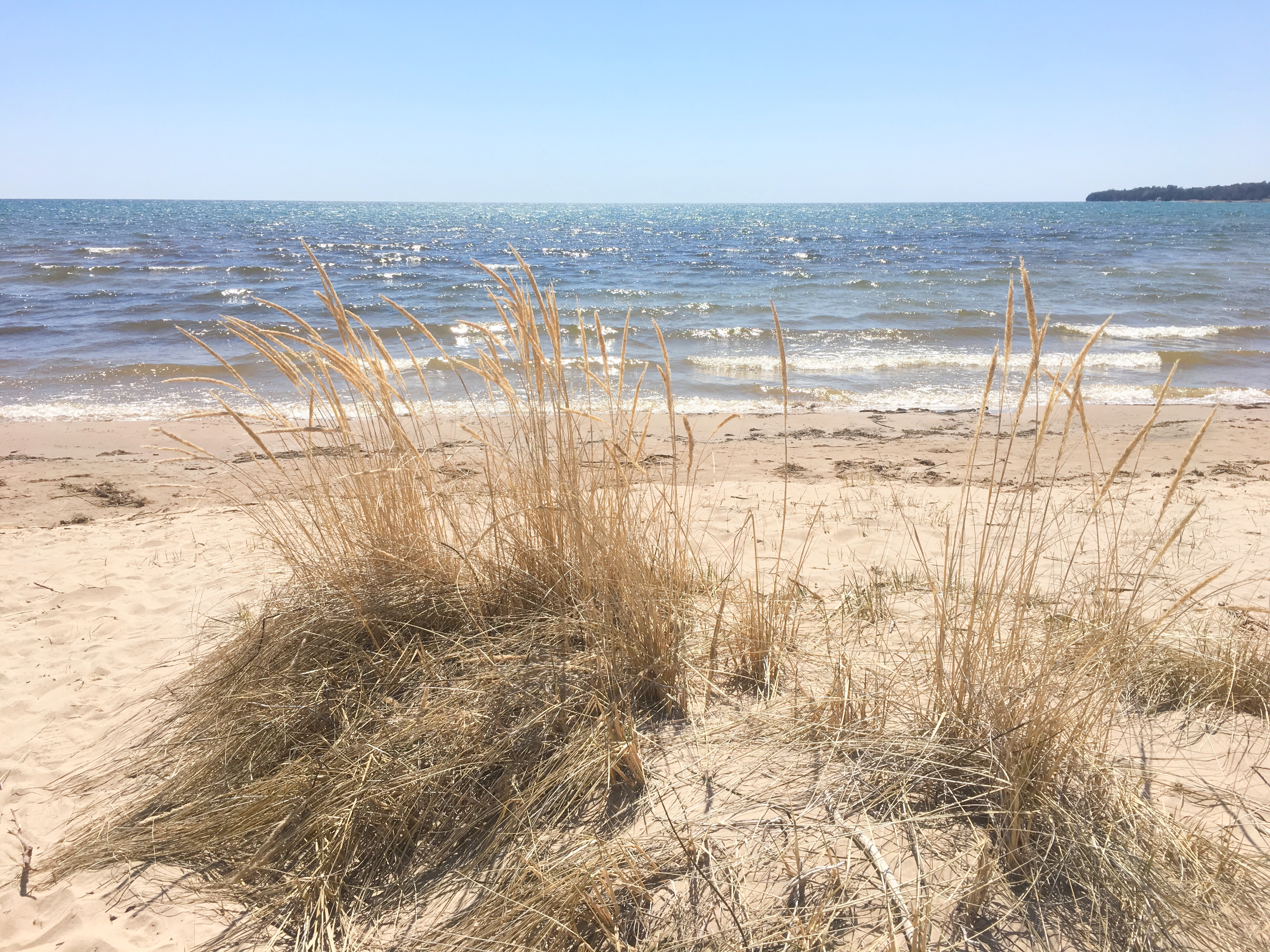 Ridges Sanctuary, Door County, Wisconsin