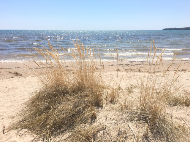 Ridges Sanctuary, Door County, Wisconsin